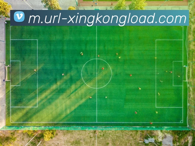 星空体育APP 封面图